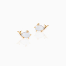 Ohrstecker Tiere "kleiner Delphin" Edelstahl 14...