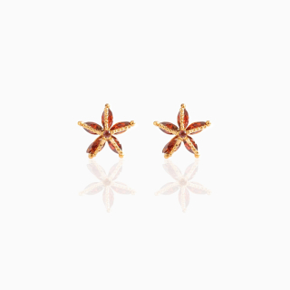 Ohrstecker MY EAR Tiere "Seestern" edelstahl 14 K vergoldet
