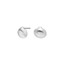 Rhd. Silber Ohrstecker Muschel SEA52
