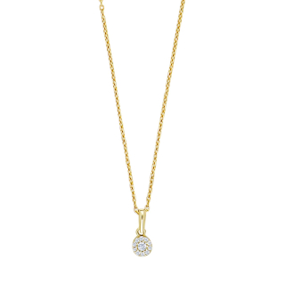 8kt. goldanhänger roset cz m/8kt.Kette