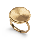 750/- Ring matt./Gebüstet