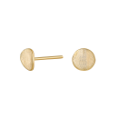 8kt. goldohrringe Platte 6mm