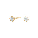 Siersbøl 14kt. Afrodite Ohrstecker 0.20ct WSI