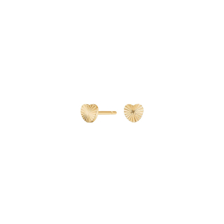Titanium Ohrstecker Verg. Herz