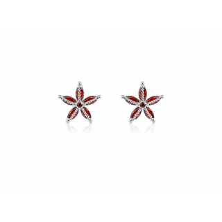 Ohrstecker MY EAR Tiere "Seestern" edelstahl versilbert