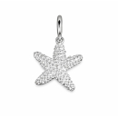 Anhänger Mini- Seestern silber dick m. Struktur -...