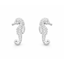 Ohrstecker Seepferdchen silber mit Zirkonia - 925 Silber