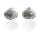 Ohrstecker Große Herzmuschel - 925 Silber