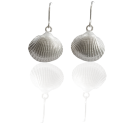 Ohrhänger Herzmuschel  - 925 Silber