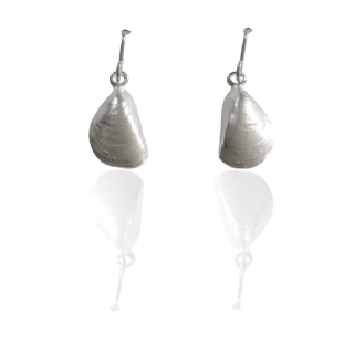 Ohrhänger Miesmuschel  - 925 Silber