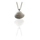 Anhänger Teppichmuschel - 925 Silber