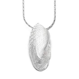 "EngelsflÂgel-Muschel" Silb.925